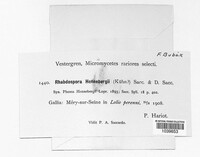 Rhabdospora hennebergii image